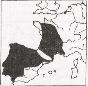 marmurkowa (Triturus marmoratus) Pieczamik