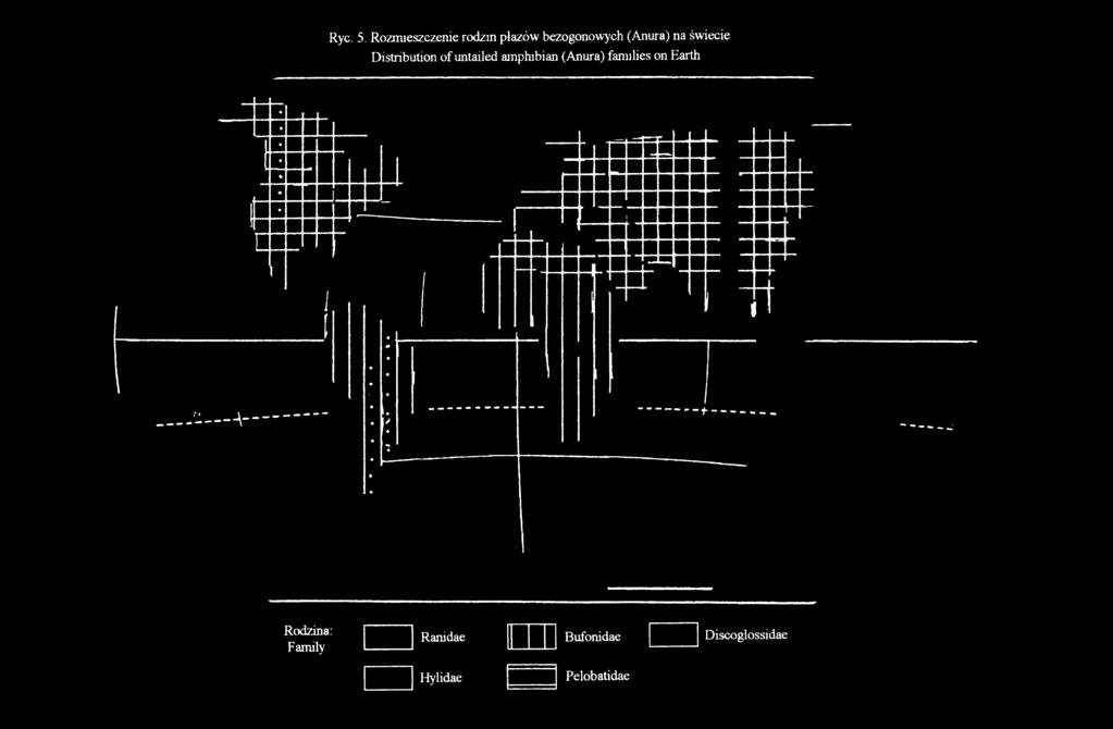 Distribution of untailed