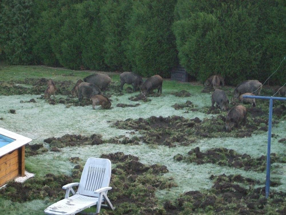 Kto szacuje pozostałe szkody, kto wypłaca rekompensaty Zakłady ubezpieczeń z polis majątkowych lub OC Po wypłacie