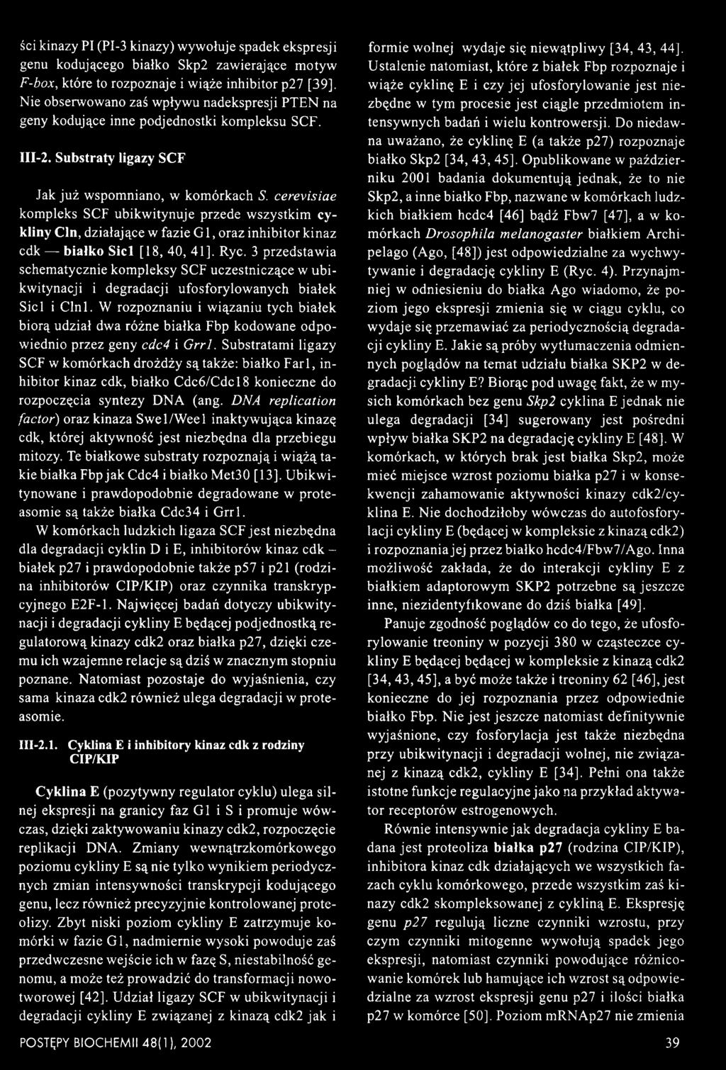 cerevisiae kompleks SCF ubikwitynuje przede wszystkim cykliny Cln, działające w fazie G 1, oraz inhibitor kinaz cdk białko S iei [18, 40, 41]. Ryc.