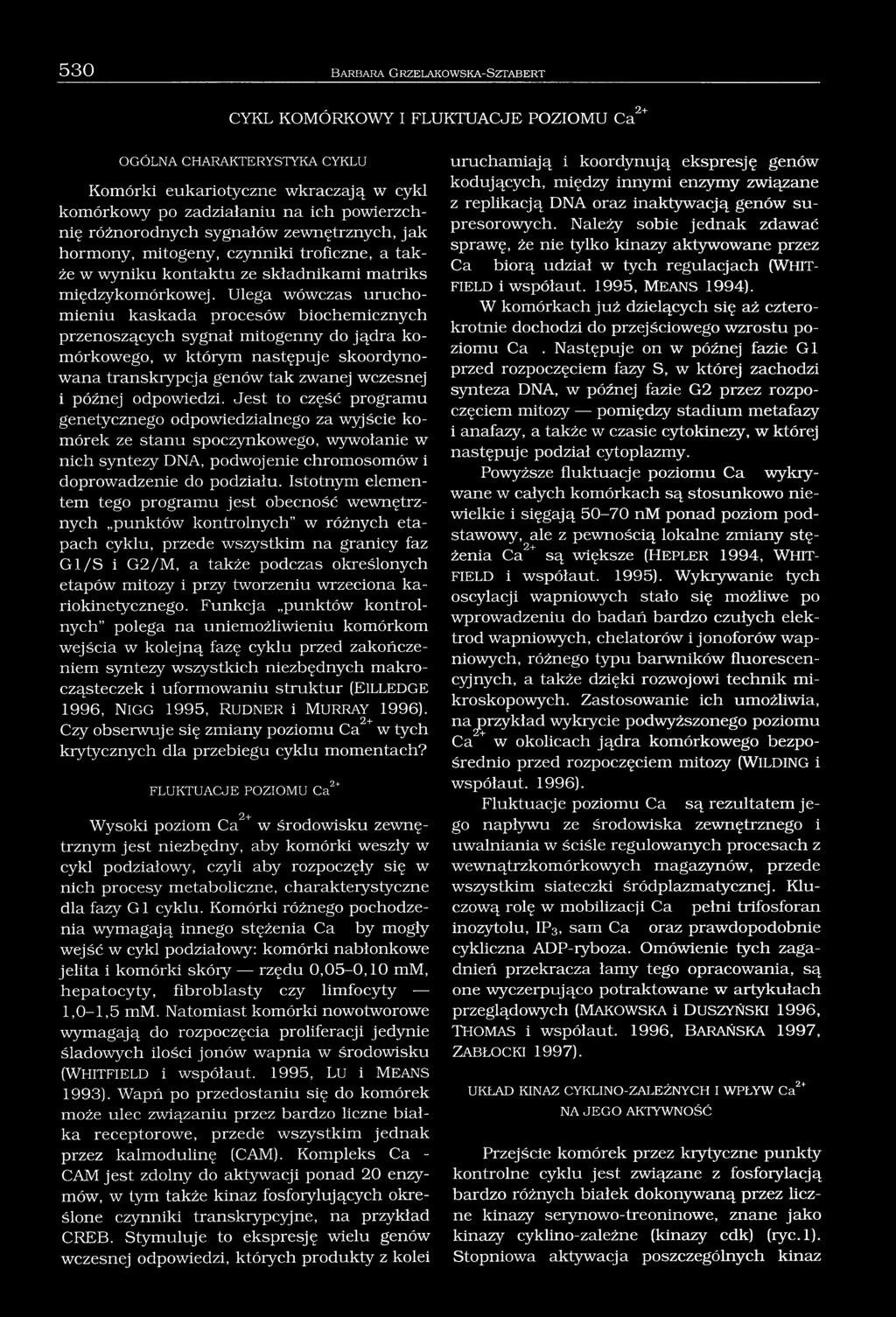 Ulega wówczas uruchomieniu kaskada procesów biochemicznych przenoszących sygnał mitogenny do jądra komórkowego, w którym następuje skoordynowana transkrypcja genów tak zwanej wczesnej i późnej