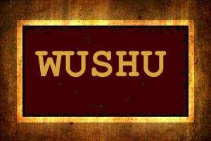 - Wushu chińska sztuka walki