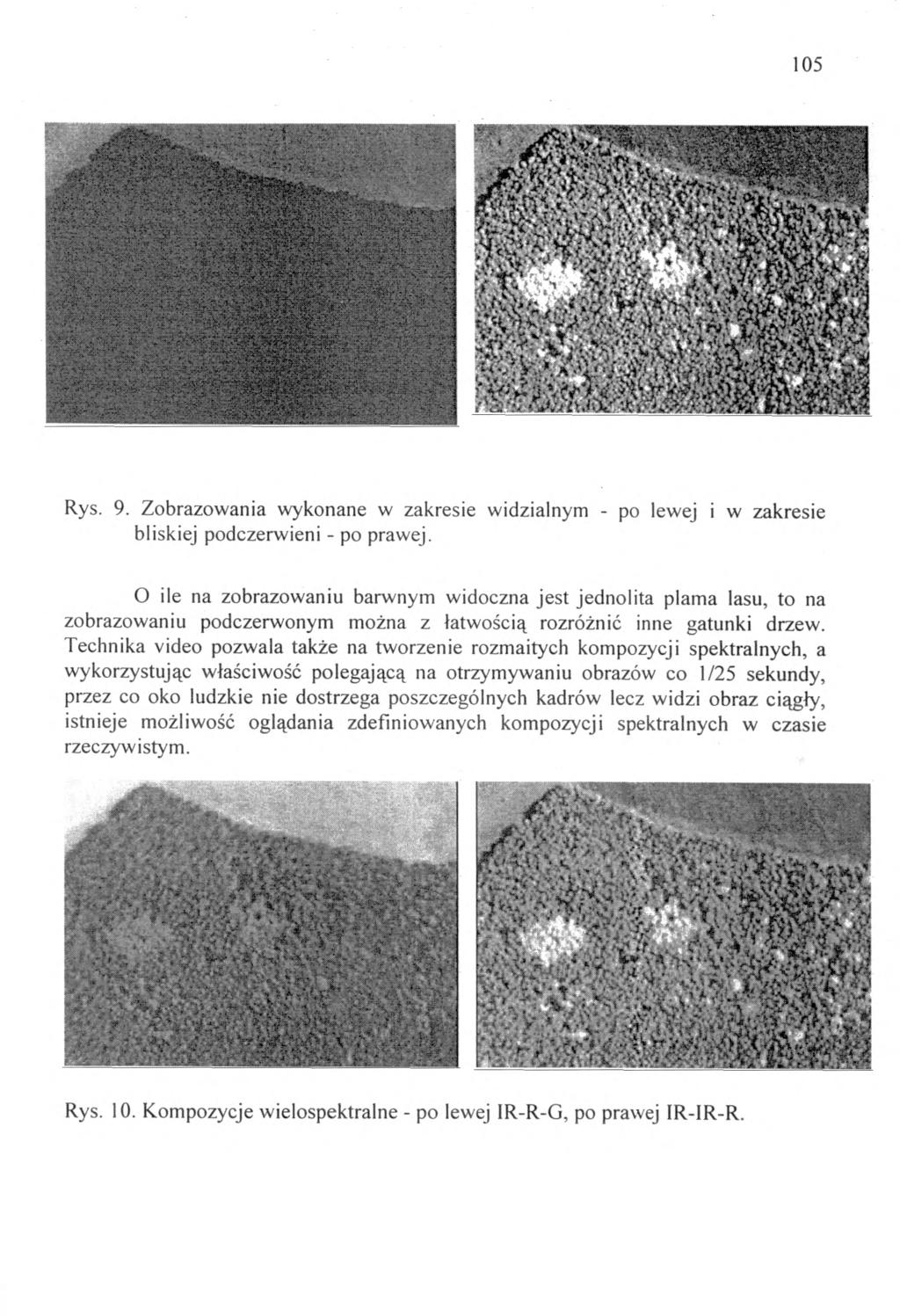 105 Rys. 9. Zobrazow ania wykonane w zakresie widzialnym - po lewej i w zakresie bliskiej podczerwieni - po prawej.