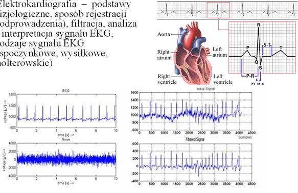 Modelowanie procesów farmakokinetycznych Kompartment Kompartment Strumień podaży leku Analiza i przetwarzanie biosygnałów sygnał EKG