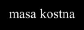 ZMIANY MASY KOSTNEJ Z WIEKIEM Płód i noworodek Wzrastanie Niska szczytowa masa kostna Menopauza i niedobór estrogenów Wpływ wieku Niska masa kostna Masa kostna Czynniki genetyczne Żywienie i styl