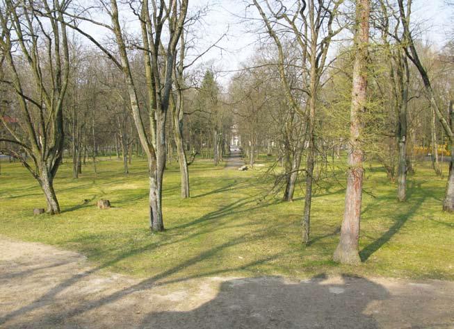 9. Centrinė parko alėja, vaizdas vartų prie Antakalnio gatvės link, Evaldo Purlio nuotrauka, 2010 1839 m. sausio 28 d.
