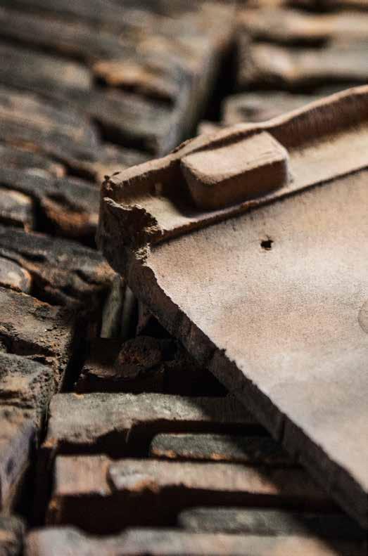 SETTLER wzór Klasyczny elegancji Tradycyjne dachówki z fakturą przypominającą wzory organiczne prosty dowód na to,