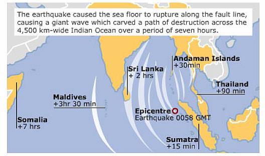 Trzęsienie ziemi spowodowało przerwanie dna morskiego wzdłuż linii uskoku i powstanie fali tsunami