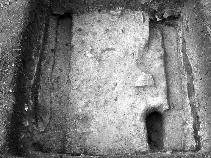 196 Andrzej Bukо dzińca zabudowana była kamiennymi płytami, widocznych nadal in situ w niektórych wykopach.
