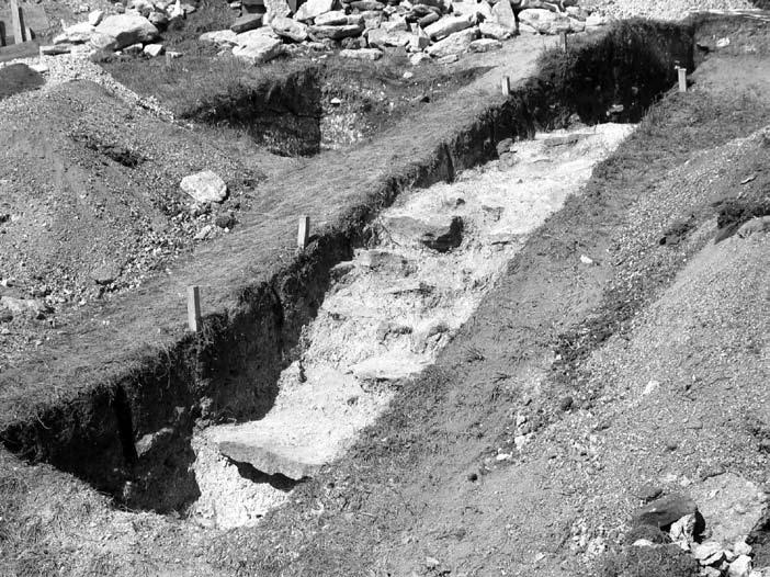 Na pograniczu kultur i ideologii: zespół wieżowy w Stołpiu na ziemi 197 Rys. 4. Pozostałości kamiennych stopni pierwotne wejście na dziedziniec zespołu wieżowego zidentyfikowane w płd.-wsch.