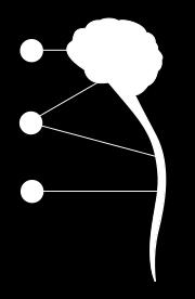 Spis treści 1 TKANKA NERWOWA 1.1 Układ nerwowy 1.2 Neurony (komórki nerwowe) 1.2.1 Ciało komórki 1.2.2 Wypustki 1.2.3 Wzrost i kształtowanie się neuronów 1.3 Synapsa 1.3.1 Chemiczna 1.3.2 Elektryczna (gap junctions, nexus) 1.