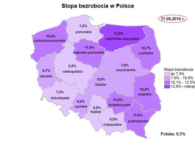 Obserwatorium Rynku Pracy, Zespół Badań i Analiz,