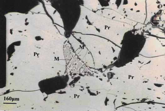 pirotynu (M-Pr; jasnobrązowy). Widoczne również drobne wydzielenia magnetytu w pirotynie. Fig. 72.