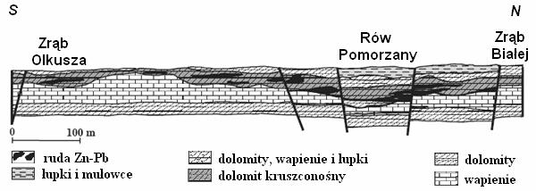 mineralizacja, podobnie jak w całym regionie złóż górnośląskich, występuje w dolomitach kruszconośnych środkowego triasu (Tabela 2).