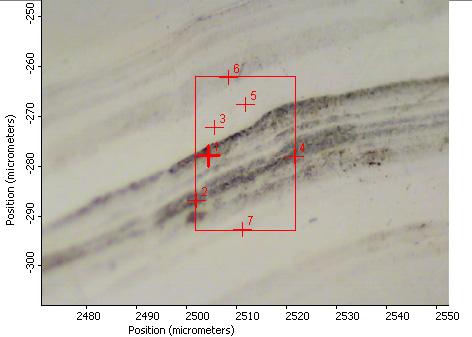 Fig. 61. Fotomikrografia w świetle odbitym pirytu (1, 2, 4, 6, 7) oraz oksysiarczków (3, 5); preparat Pomorz 10, kopalnia Pomorzany.