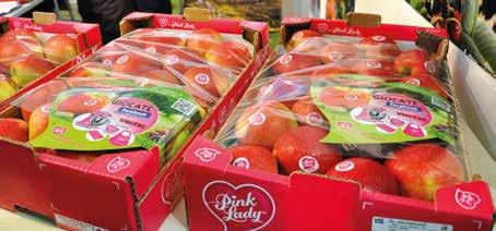 owocami. Jak informował G. Poldervaart, 90% jabłek na świecie zbiera się w krajach Fot. 6. Fuji (Kiku ) Fot. 7.