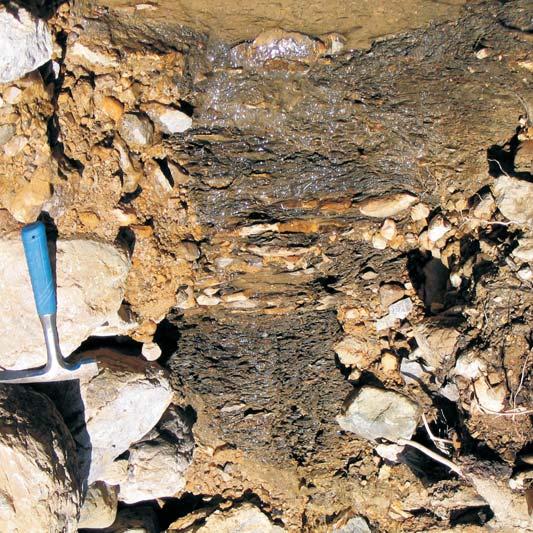 200 [cm] 50 00 50 0? Ryc. 5. Profl formacji kopienieckiej na wschodnim stoku Cisowej Turni Fig. 5. Section of the Kopieniec Formation on the eastern slope of Cisowa Turnia Mt.