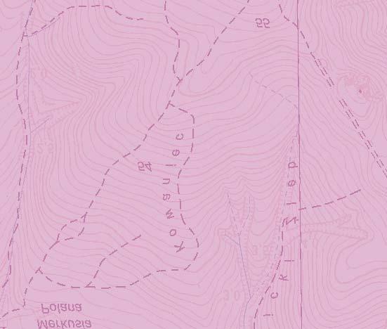 ), Lower Oligocene 4 wapienie organodetrytyczne,