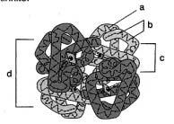 2002 m. IOLOGIJOS VLSTYINIO RNOS EGZMINO UŽUOTIS 5. Į maišelį*, pagamintą iš pusiau pralaidžios* membranos*, buvo įpilta vandens* ir gliukozės* bei krakmolo* mišinio.