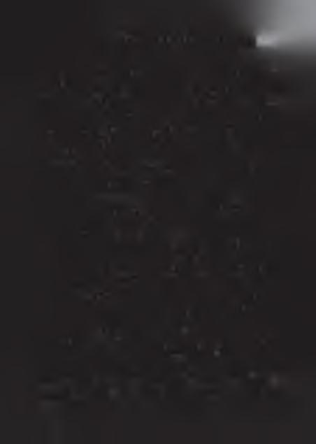 z d z ie jó w is l a m u w a f r y c e z a c h o d n ie j 165 Islam w Senegalu Ponad 90% ludności Senegalu wyznaje islam, przy czym większość muzułmanów związana jest z przywódcami religijnymi,