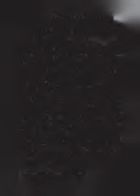 z d z ie jó w is l a m u w a f r y c e z a c h o d n ie j 169 nauczycieli duchowych.