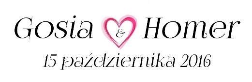 (zdjęcia znajdują się w