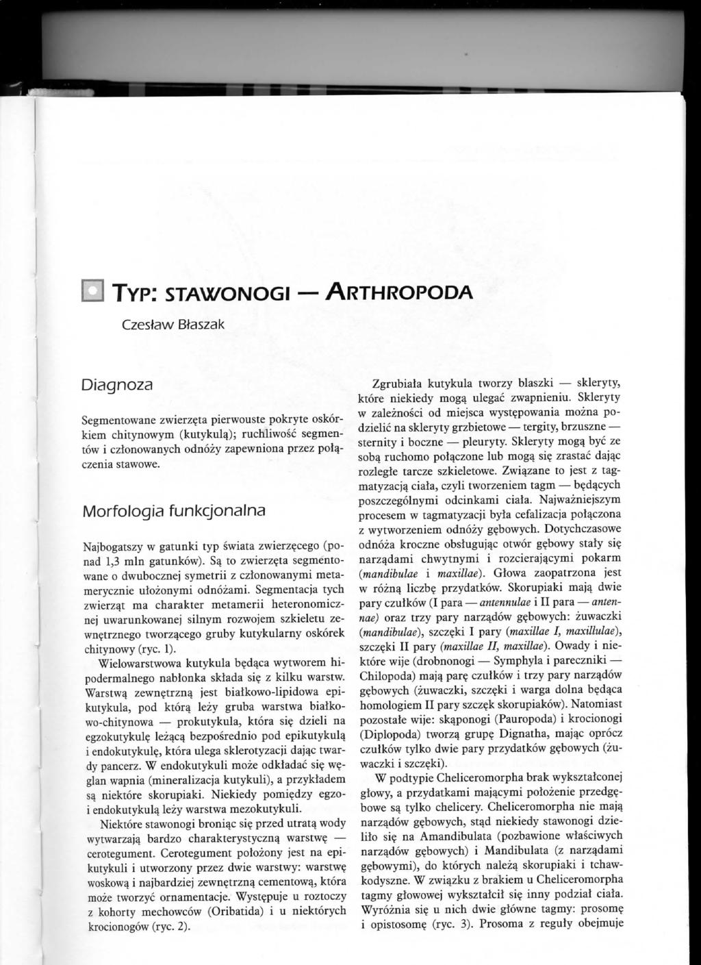 TYP: STAWONOGI ARTHROPODA Czesfaw Ettaszak Diagnoza Segmentowane zwierz?ta pierwouste pokryte oskorkiern chitynowym (kutykula.); ruchliwosc segmentow i czlonowanych odnozy zapewniona przez poia.