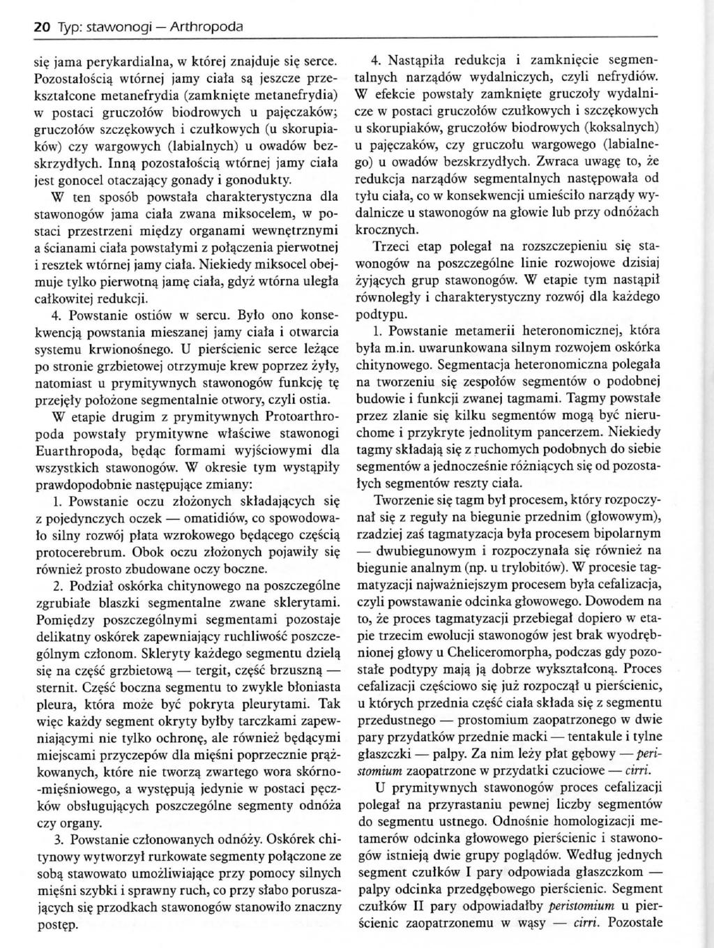 20 Typ: stawonogi Arthropoda si? jama perykardialna, w ktorej znajduje si? serce. Pozostaloscia^ wtornej jamy ciala sa_ jeszcze przeksztalcone metanefrydia (zamkni?
