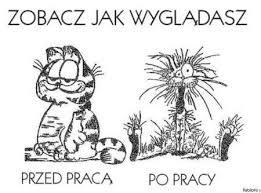 zobaczyć gdzie jest niedźwiedź.