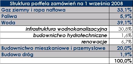 Wartość portfela zamówień (w mln zł) 6 000 5 000 4 000 3 000 2 000 1 000 0 4 875 3 000 2 089 480 700 60 01.2004 01.2005 01.2006 01.2007 01.2008 09.