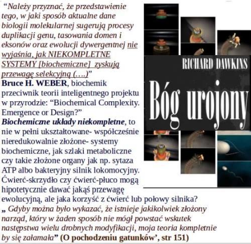 Która funkcja była pierwsza?