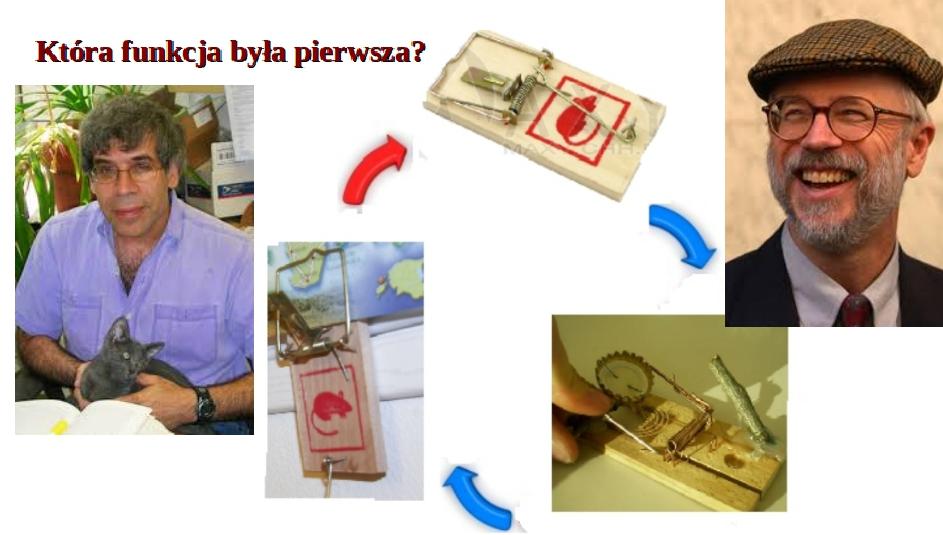 nieredukowalnej złożoności w