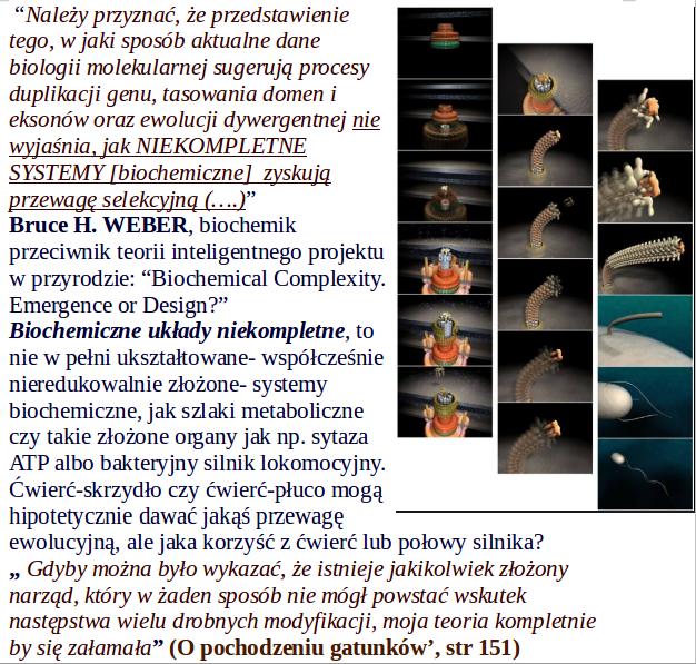 Richard Dawkins w swoim Samolubnym genie sam opisał doświadczenie, które dowodzi, że kodowane genetycznie zachowania są nieredukowalnie złożone: (.