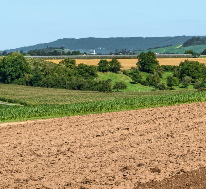 Elastyzny, kompaktowy, wydajny Fendt 200 Vario Profi to standardowy iąnik kompaktowy, dzięki któremu odzienna praa jest bardziej elastyzna i wydajna.