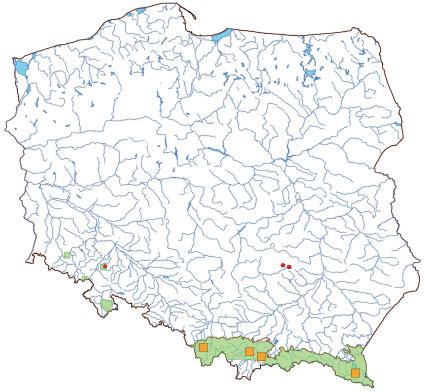 8150 Środkowoeuropejskie wyżynne piargi i gołoborza krzemianowe Na Słowacji do gatunków typowych zaliczane są ponadto lepiężnik biały Petasites albus, wierzbówka kiprzyca Chamaenerion angustifolium,