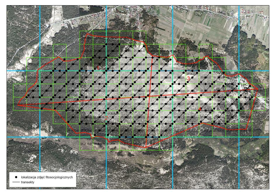 MONITORING PRZYRODNICZY-CZERWIEC 2015 Założeniem realizacji monitoringu było wyznaczenie na terenie objętym projektem 120 transektów badawczych, w obrębie których (poczatek środek i koniec) wykonano