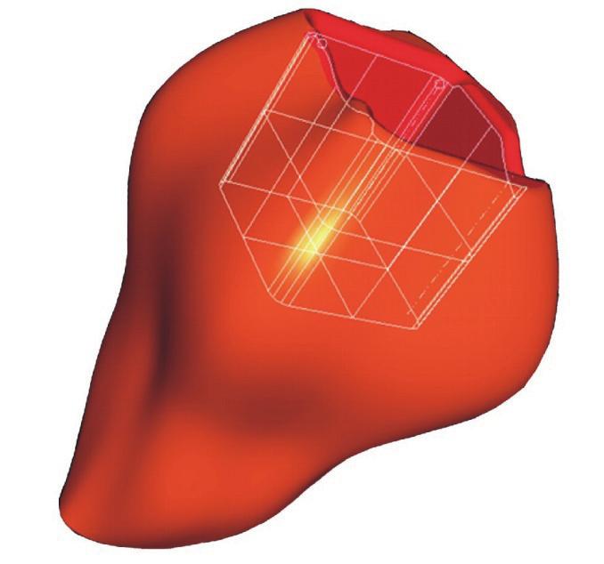 Science and Technology Do oceny przylegania brzeżnego wykorzystano skaningowy mikroskop elektronowy oraz mikroskop optyczny.