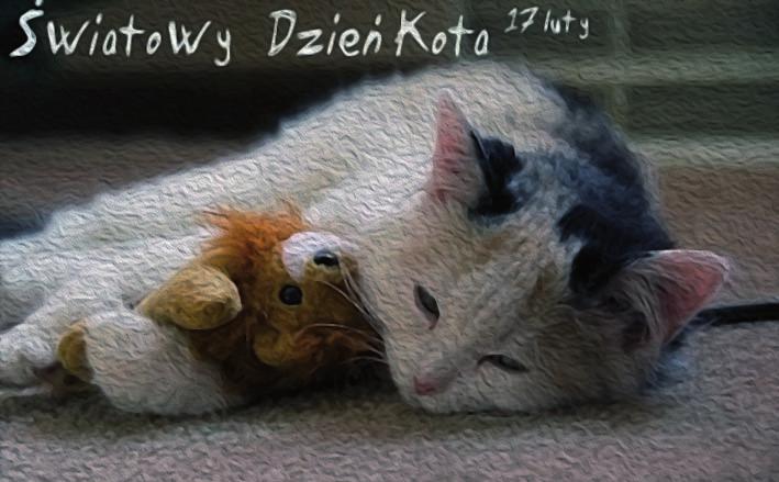 Polak Mały * nr 2 (32) luty 2015 7 Międzynarodowy Dzień Kota pieczeństw: choroby, samochody, psy, trucizny, zimno i źli ludzie. Dlatego tak ważne jest by im regularnie pomagać.