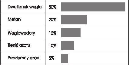 Ekologiczne, społeczne i ekonomiczne korzyści z drzew.