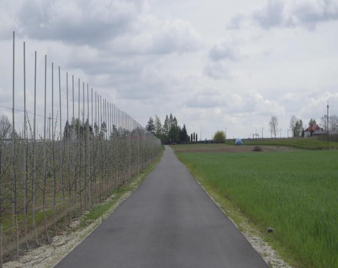 Józefów, Koprzywna, Marchaty, Narty, Niemirowice, Orla Góra, Ossa, Pągów, Podlesie, Rokszyce, Rosławowice, Słupce, Stanisławów-Krukówka, Studzianek, Szczuki, Zakrzew, Zofianów i Żurawia.