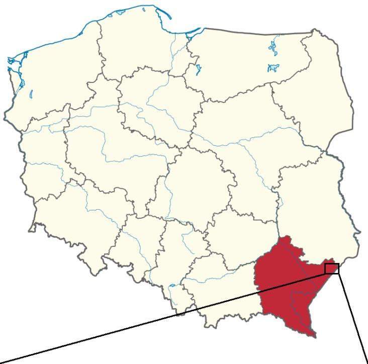 Rysunek 1.