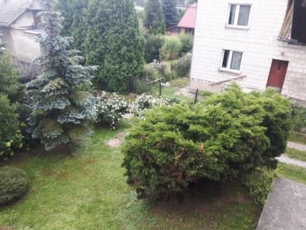 Paweł