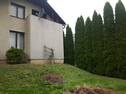 Paweł