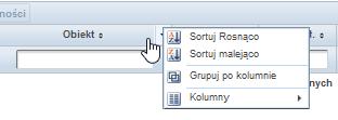 Po kliknięciu w prawą część nagłówka kolumny wyświetlonego zestawienia, system umożliwi posortowanie zapisów (patrz Przykład 7) rosnąco lub malejąco a także pogrupować po kolumnie.