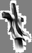 Mass Intentions MONDAY, December 13 - St. Lucy 7:00 - Most Forgotten Soul in purgatory - Anna Mravec 8:15 - +Jennifer Zaremba - Mom & Dad TUESDAY, December 14 - St.