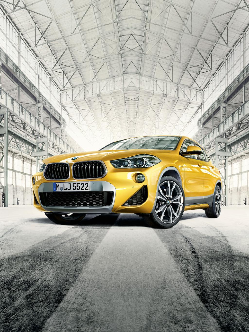 BMW X.
