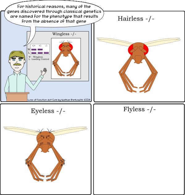 Mutacje