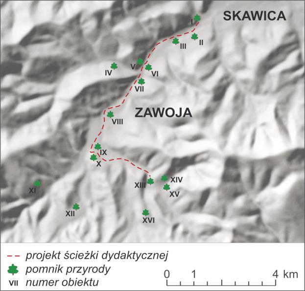 PROJEKT WYKORZYSTANIA OBIEKTÓW OCHRONY POMNIKOWEJ W EDUKACJI PRZYRODNICZEJ W GMINIE ZAWOJA Znajdujących się w Zawoi 17 pomników przyrody w większości położonych jest w głównej dolinie Skawicy, co