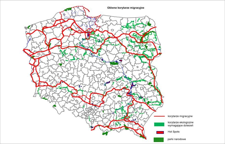 datowanie wzrostu skorupy oceanicznej na wolno rozprzestrzeniającym się grzbiecie