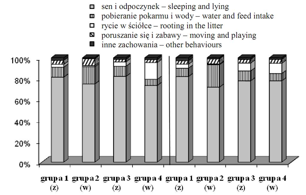 Structure of pigs behaviour during the first day of fattening (%) Rys. 2.